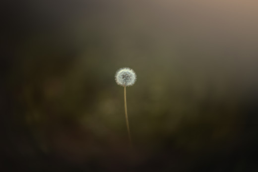 888576 (a): :2250x1500
